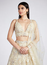 Pretty Looking Lehenga Choli in Cream